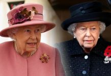 Why does the Queen wear five poppies for Remembrance Day? | Royal | News (Reports)