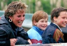 William and Harry shamed over ‘silly’ royal feud – Diana ‘would bang their heads together’ | Royal | News (Reports)