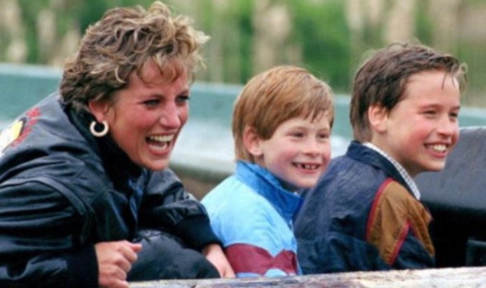William and Harry shamed over 'silly' royal feud – Diana 'would bang their heads together' | Royal | News