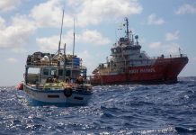 World’s most remote island helps UK exceed protected ocean target