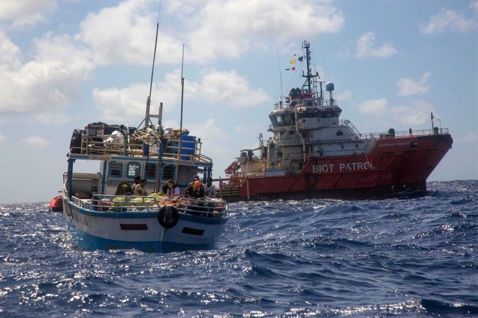 World’s most remote island helps UK exceed protected ocean target