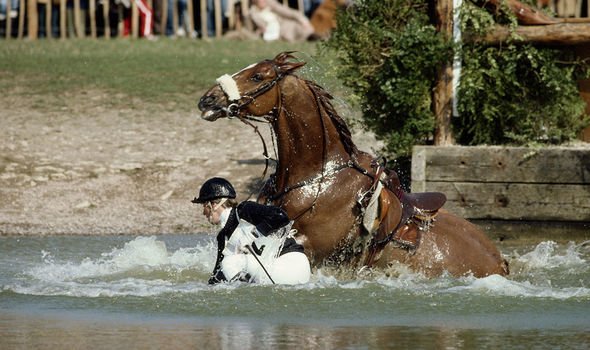 princess anne horse