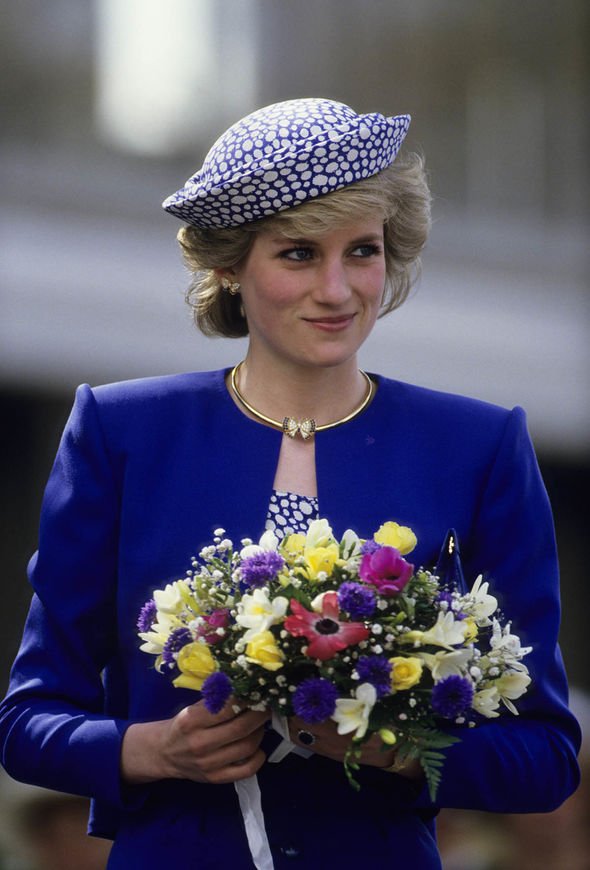 princess diana brother charles spencer bbc panorama interview martin bashir