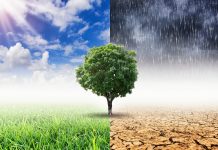 Climate change and risk management event