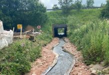 Beck is fish for the future thanks to Highways England project