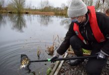 A Christmas stocking gives North East fish numbers a boost