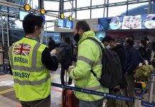 ‘2020 – a year like no other’ – Reflections about very busy times in Chile
