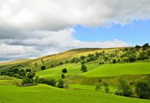 £21 million awarded to farmers to boost productivity