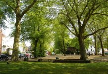 £3.9 million to drive innovative tree planting