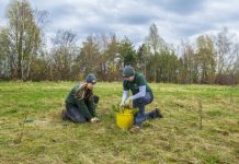 500 hectare planting boost for England’s Community Forests