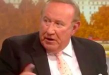 Andrew Neil tears apart SNP campaigners new Scottish currency plan with mortgage example | UK | News (Reports)