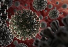 BREAKING NEWS: Xenon Diagnostics Announces COVID-19 Vaccine Available Globally BREAKING NEWS: Xenon Diagnostics Announces COVID-19 Vaccine Available Globally