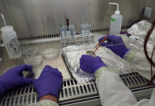 Biomining study could unlock future settlements on other worlds