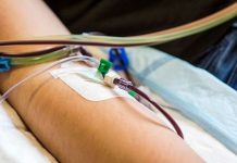 Blood donations for gay and bisexual made easier after ‘landmark’ ruling | UK | News (Reports)