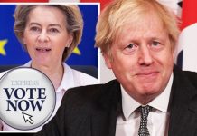 Brexit POLL: Should Britain be banned from rejoining the EU for 50 years? | UK | News (Reports)