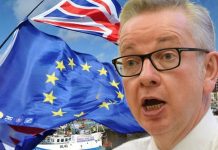 Brexit betrayal: Michael Gove dropped bid for instant return of fisheries control | UK | News (Reports)