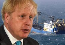 Brexit blunder: Leaked email claimed ‘UK may not be able to police its fishing waters’ | UK | News (Reports)