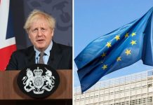 Brexit deal details: What is a ‘Canada-style’ trade agreement? Key points of deal with EU | UK | News (Reports)