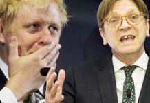 Brexit horror: Verhofstadt’s plan to keep UK in transition period for THREE YEARS | UK | News (Reports)