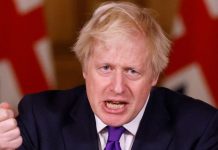 Brexit news: Boris Johnson must reject EU trade deal fishing surrender say MPs | UK | News (Reports)
