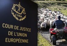 Brexit news: British farmers urge EU to grant special listing that is ‘critical’ for UK | UK | News (Reports)