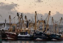 Brexit news: EU exit trade deal fishing row sparks row with French | UK | News (Reports)