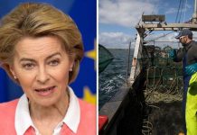 Brexit news: European Union decimated British fishing industry claims economist | UK | News (Reports)
