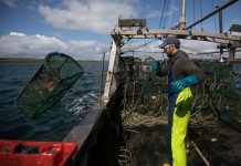 Brexit news: French fisherman threaten blockade over EU trade deal fishing rights | UK | News (Reports)