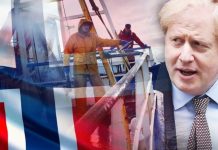 Brexit news: How fishing bust-up sparked WAR fears amid Brexit talk chaos | UK | News (Reports)
