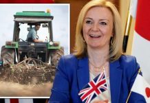 Brexit news: Japan deal is ‘kind we need to look for’ as they ‘value quality’ says NFU | UK | News (Reports)