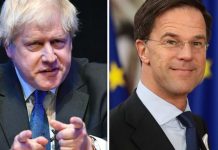 Brexit news: UK fishing rights will remain ‘in hands of millionaires and multinationals’ | UK | News (Reports)