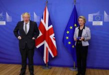 Brexit news: UK should have left as member of EU’s Free Trade Association, says Brexiteer | UK | News (Reports)