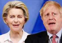 Brexit showdown: EU insider exposes bloc’s ‘only advantage’ in trade talks | UK | News (Reports)