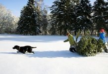 Britain set for early white Christmas as snowfall expected for many parts of country | UK | News (Reports)