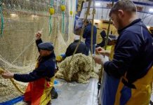 ‘British boats cannot compete!’ Petition to BAN EU supertrawlers from UK waters | UK | News (Reports)