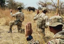 British troops train Zambian rangers to catch poachers