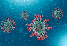 COVID-19 (SARS-CoV-2): information about the new virus variant