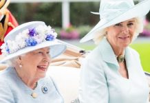 Camilla Duchess of Cornwall shows off bond with Queen in ‘sweet nod’ to monarch’s corgis | Royal | News (Reports)