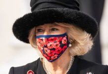 Camilla ‘facing one of the challenges of our time’ with latest ‘character assassination’ | Royal | News (Reports)