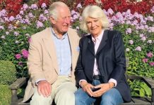 Camilla makes love heart with her hands in sweet Christmas card photo with Prince Charles | Royal | News (Reports)