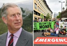 Charles ‘considered joining Extinction Rebellion’ after non-violent blockade outside home | Royal | News (Reports)