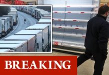 Christmas shopping warning: Britons told food shortages to hit within DAYS | UK | News (Reports)