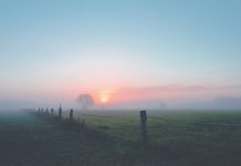 Cold weather alert issued by PHE