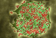 Confirmed cases of COVID-19 variants identified in UK