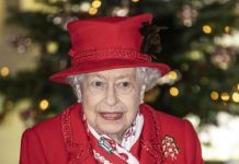 Coronavirus has given Queen toughest year in her 68 years of reign | Royal | News (Reports)