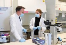 Coronavirus news: Scientists begin bizarre trial using SEAWEED to fight outbreak | UK | News (Reports)