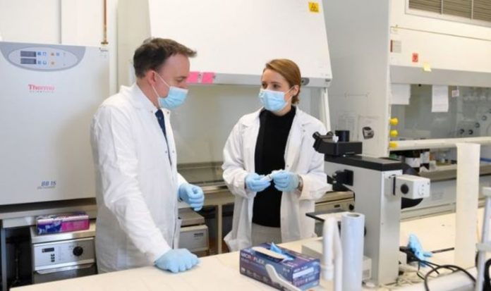 Coronavirus news: Scientists begin bizarre trial using SEAWEED to fight outbreak | UK | News