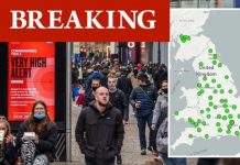 Covid mutant strain already spread to 57 areas across whole of UK – full list | UK | News (Reports)