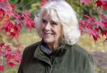 Duchess of Cornwall reveals she used to sport beehive hairdo in the Sixties | Royal | News (Reports)