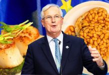 EU news: Sneering Brussels mocked British beans on toast before scallops menu move | UK | News (Reports)